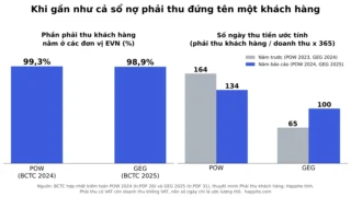 Rủi ro tập trung khách hàng là gì? Đọc qua BCTC ngành điện