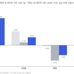 Beta, Sharpe BĐS VN30: Họ Vin Bứt Phá, BCM Còn Âm