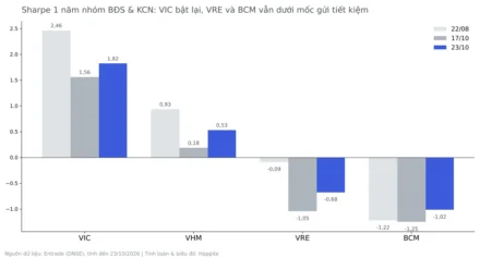 Beta, Sharpe BĐS VN30: Họ Vin Bứt Phá, BCM Còn Âm