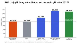 SHB Tăng Vốn 53.442 Tỷ: Đọc Gì Từ Thông Cáo Sau Tin Đồn?