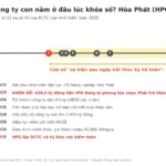 Sự kiện sau ngày kết thúc kỳ kế toán là gì? Ví dụ HPG, VIC
