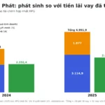 Tiền lãi vay đã trả là gì? Đọc qua BCTC Hòa Phát