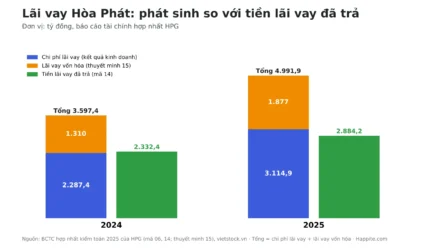 Tiền lãi vay đã trả là gì? Đọc qua BCTC Hòa Phát