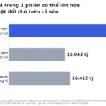 Vốn Hóa Bốc Hơi 28.000 Tỷ Trong Một Phiên: Tiền Đi Đâu?